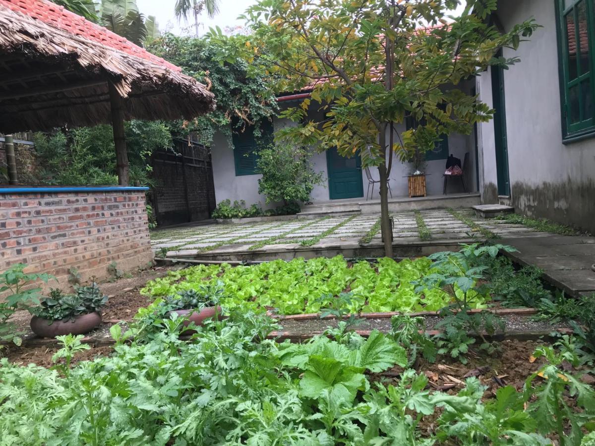 Tam Coc Eco House Lejlighed Ninh Binh Eksteriør billede