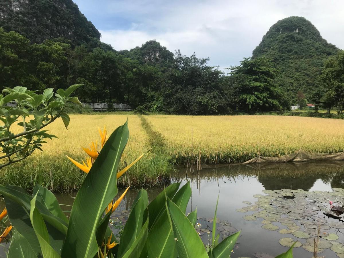 Tam Coc Eco House Lejlighed Ninh Binh Eksteriør billede