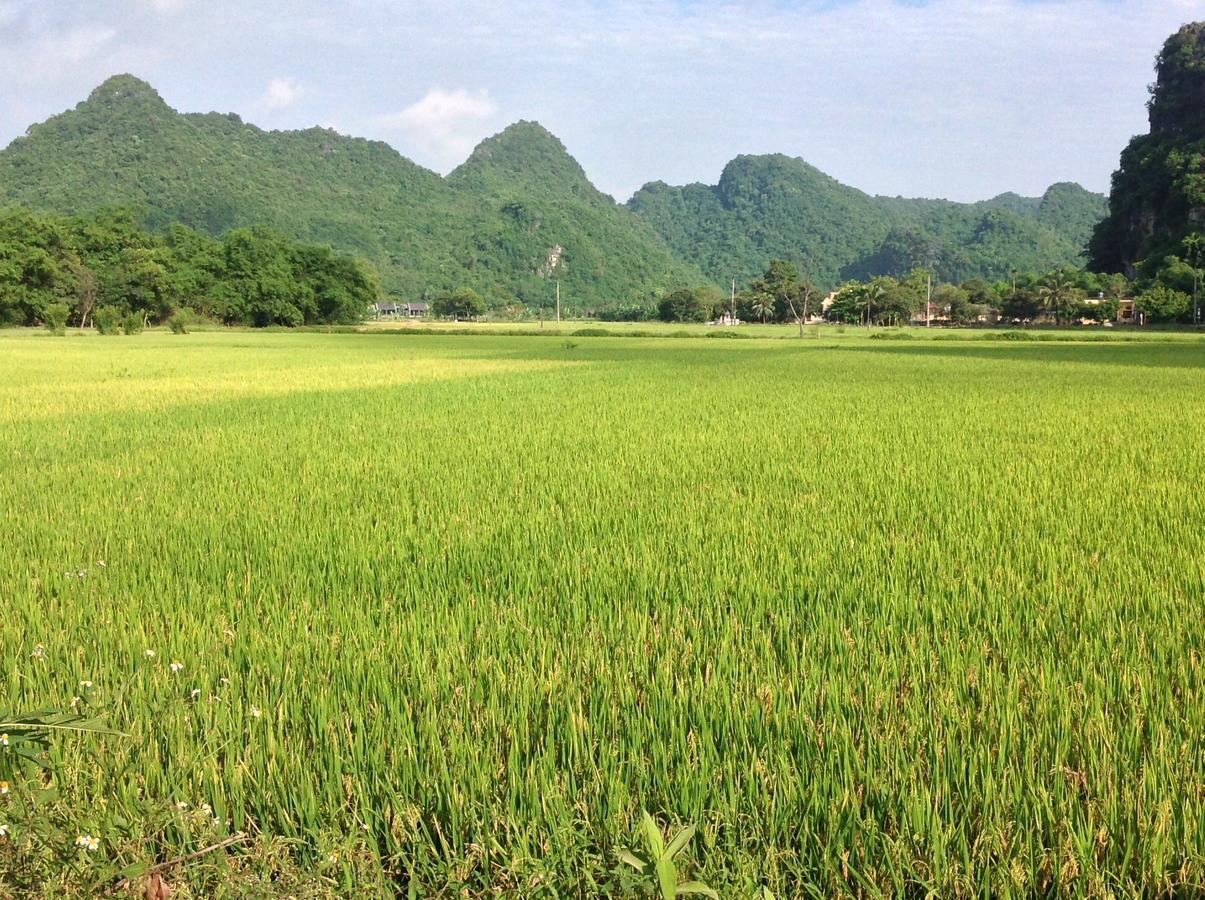 Tam Coc Eco House Lejlighed Ninh Binh Eksteriør billede