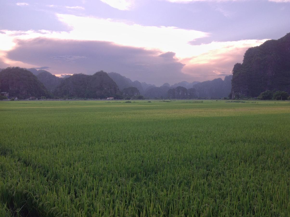 Tam Coc Eco House Lejlighed Ninh Binh Eksteriør billede