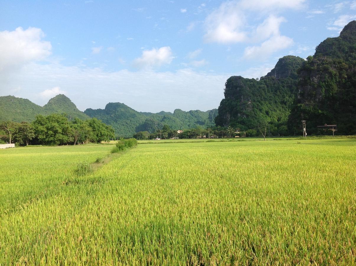 Tam Coc Eco House Lejlighed Ninh Binh Eksteriør billede