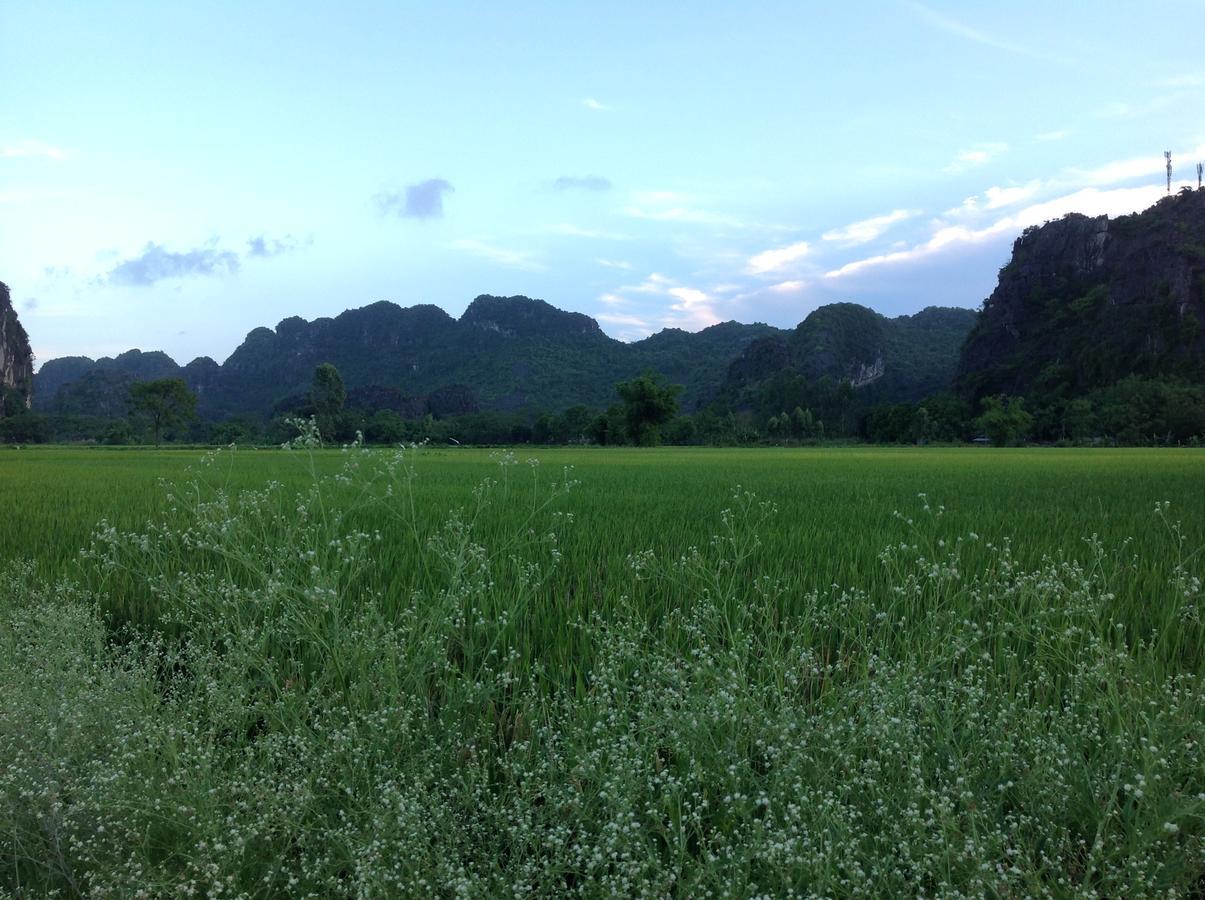 Tam Coc Eco House Lejlighed Ninh Binh Eksteriør billede