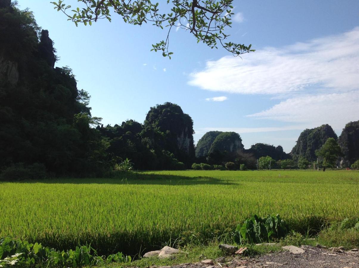 Tam Coc Eco House Lejlighed Ninh Binh Eksteriør billede