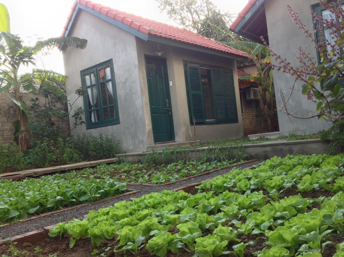 Tam Coc Eco House Lejlighed Ninh Binh Eksteriør billede